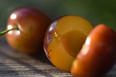 Gruppe von Bauern - Obst