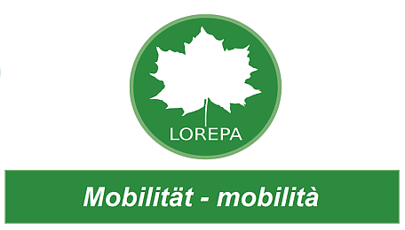 elettromobilità