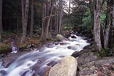 SEV Südtiroler Energieverband - Wasserkraft